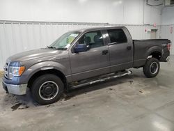 Ford salvage cars for sale: 2013 Ford F150 Supercrew