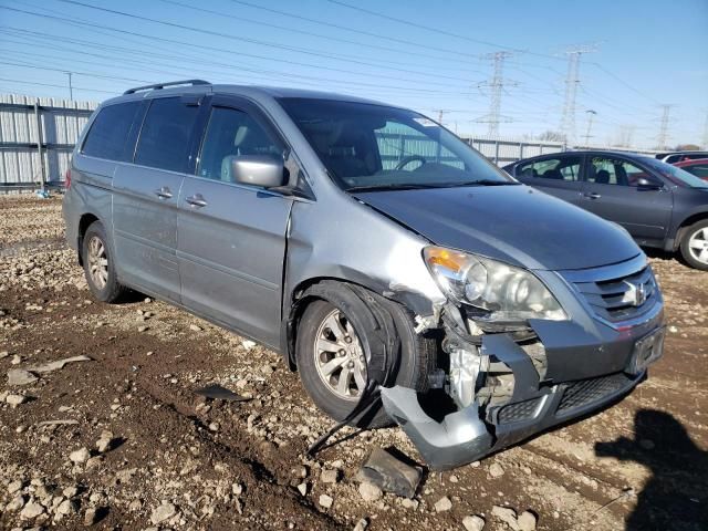 2008 Honda Odyssey EXL