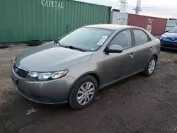 2013 KIA Forte EX en venta en Elgin, IL