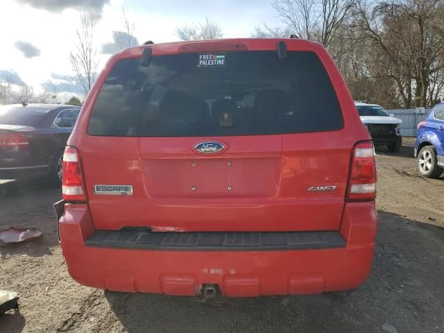 2009 Ford Escape XLT