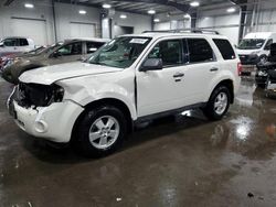 Salvage cars for sale at Ham Lake, MN auction: 2010 Ford Escape XLT