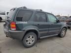 2003 Ford Escape XLT