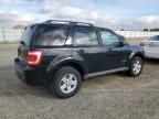 2009 Ford Escape Hybrid