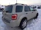 2009 Ford Escape XLT