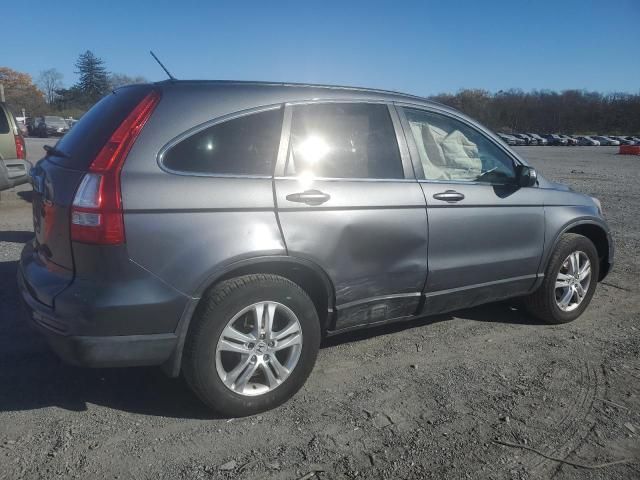 2010 Honda CR-V EXL