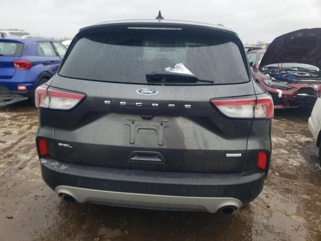 2020 Ford Escape SEL