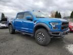 2019 Ford F150 Raptor