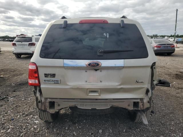 2010 Ford Escape Limited