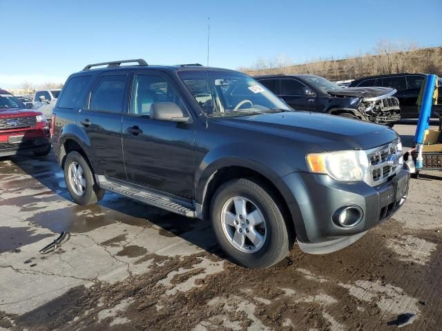 2009 Ford Escape XLT