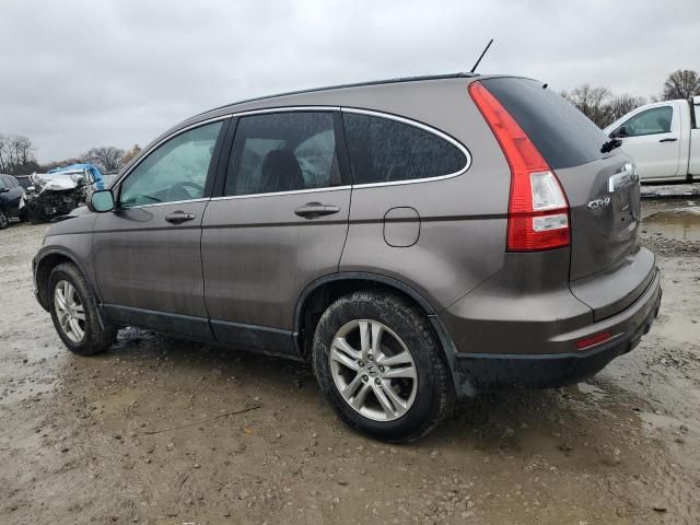 2010 Honda CR-V EXL