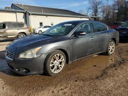 Nissan salvage cars for sale: 2013 Nissan Maxima S