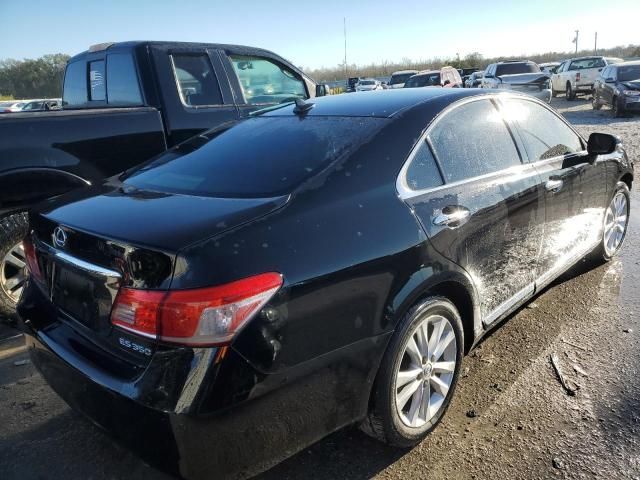 2012 Lexus ES 350