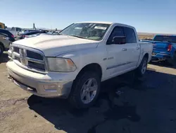 Dodge Vehiculos salvage en venta: 2009 Dodge RAM 1500