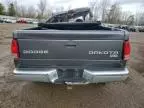 2004 Dodge Dakota SLT