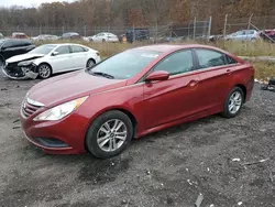 Salvage cars for sale at Baltimore, MD auction: 2014 Hyundai Sonata GLS