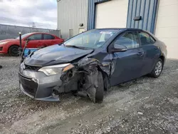 Toyota Corolla l salvage cars for sale: 2014 Toyota Corolla L