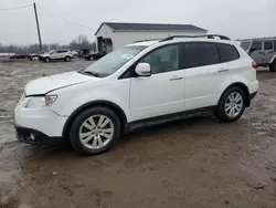 Subaru Tribeca salvage cars for sale: 2008 Subaru Tribeca Limited