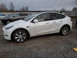 Salvage cars for sale at Arlington, WA auction: 2023 Tesla Model Y