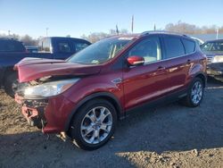 Ford Vehiculos salvage en venta: 2014 Ford Escape Titanium