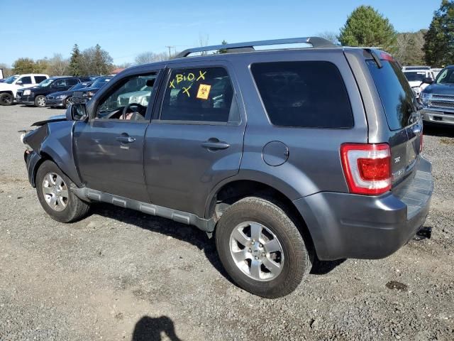 2011 Ford Escape Limited