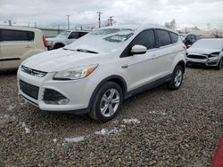 Ford Vehiculos salvage en venta: 2014 Ford Escape SE