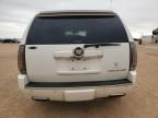 2014 Cadillac Escalade Premium