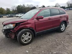 Honda Vehiculos salvage en venta: 2011 Honda CR-V EXL