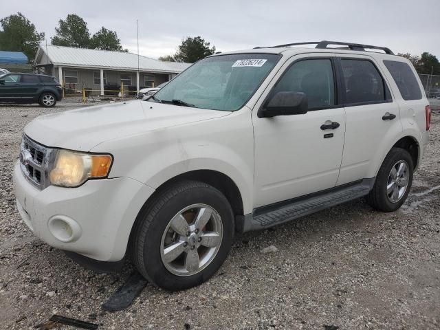 2010 Ford Escape XLT