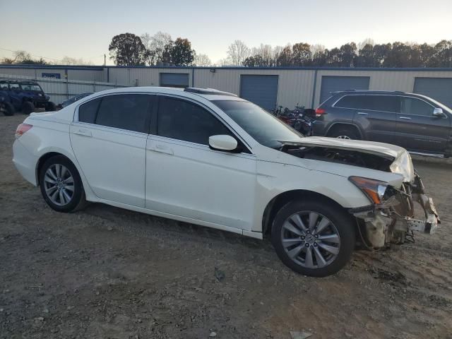 2011 Honda Accord EXL