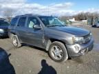 2007 Chevrolet Trailblazer LS