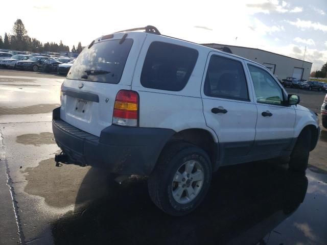 2006 Ford Escape XLT