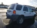 2006 Ford Escape XLT