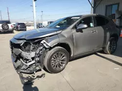 Lexus nx 250 salvage cars for sale: 2023 Lexus NX 250