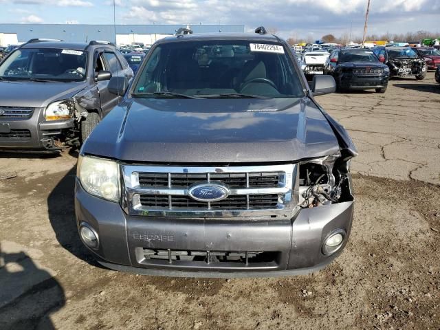 2009 Ford Escape XLT