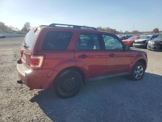 2009 Ford Escape XLT