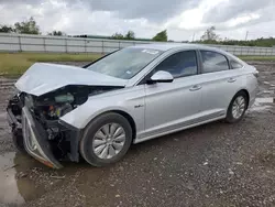 Carros salvage sin ofertas aún a la venta en subasta: 2017 Hyundai Sonata Hybrid