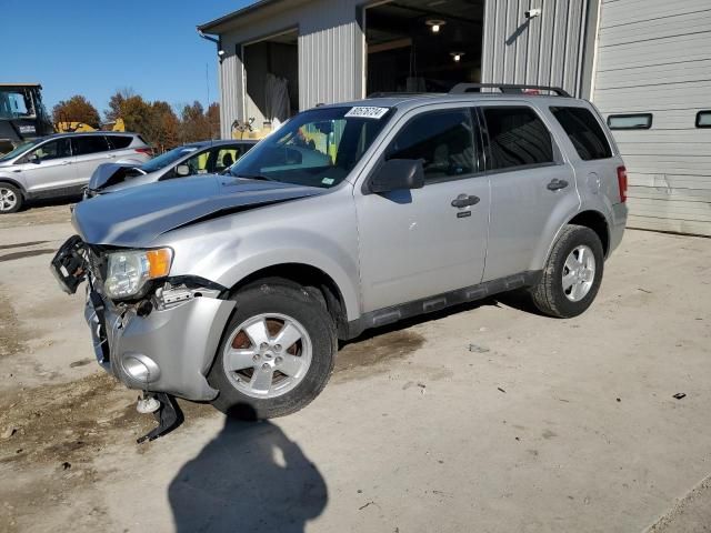 2009 Ford Escape XLT