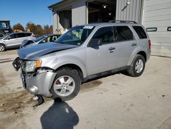 Salvage cars for sale at Columbia, MO auction: 2009 Ford Escape XLT