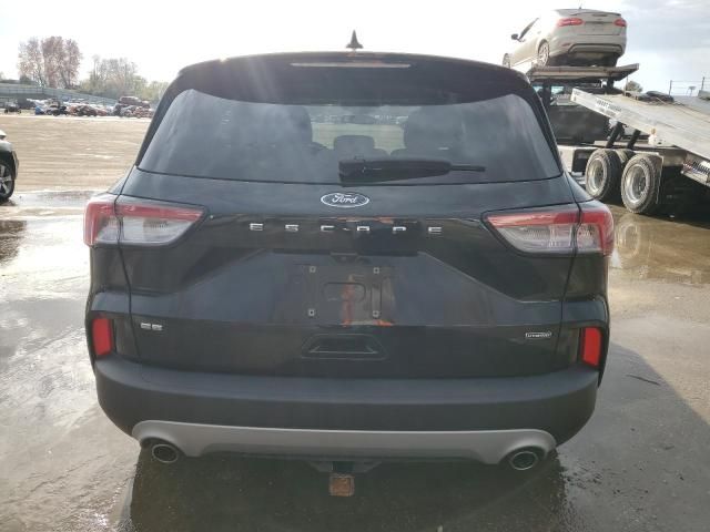 2020 Ford Escape SE Sport