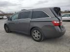 2013 Honda Odyssey EXL