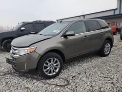 Salvage cars for sale at Wayland, MI auction: 2013 Ford Edge Limited