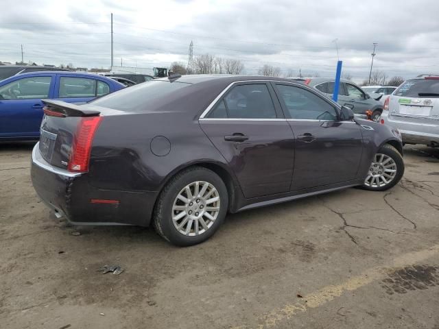 2010 Cadillac CTS Performance Collection