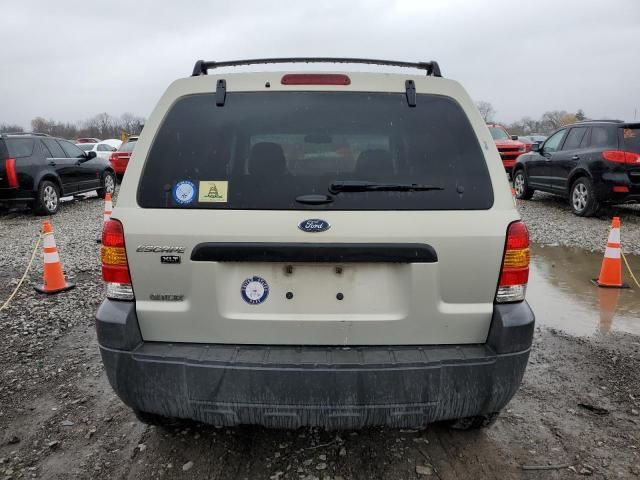 2005 Ford Escape XLT