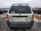 2005 Ford Escape XLT