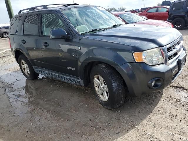 2008 Ford Escape HEV