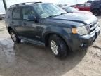 2008 Ford Escape HEV