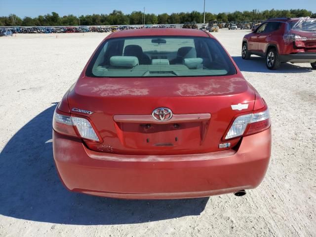 2008 Toyota Camry Hybrid