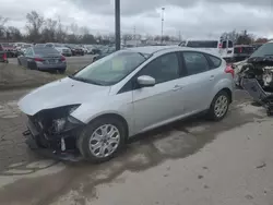 Salvage cars for sale at Fort Wayne, IN auction: 2012 Ford Focus SE