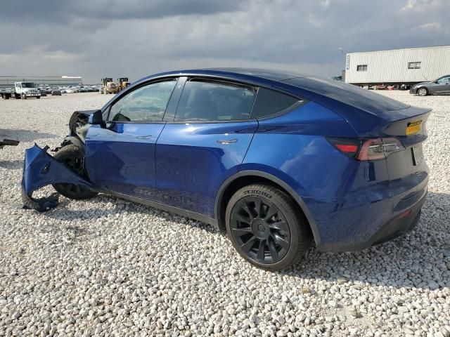 2020 Tesla Model Y