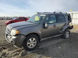 Ford Escape Limited Vehiculos salvage en venta: 2009 Ford Escape Limited